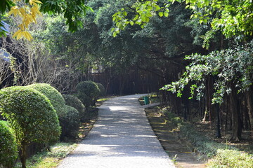 A stone road in the shadow of overhanging jungle trees and plants at the Bai Dinh Cultural Complex