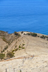 Descending Fence Line Toward the Ocean – Heysen Trail
