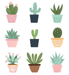 A vibrant display of potted plants features various types of cacti and succulents in unique planters. The arrangement highlights different colors and shapes, offering a refreshing indoor greenery vibe