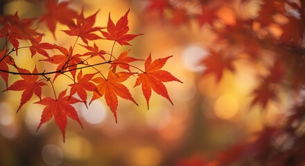 Fototapeta premium Crimson Canopy's Embrace AI Generated