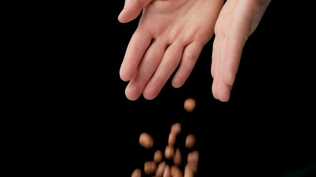 Hands pour brown peanut kernels close-up, slow motion, space for text