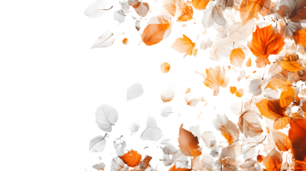 Vibrant Autumn Leaves Collage on White Background - Fall Foliage Composition Artwork