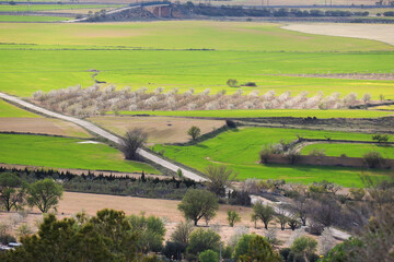 Panoramic view of Chinchilla de Montearagon town from the castle on a sunny day
