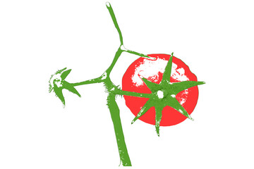 Green Red Tomato Illustration Transparent Background