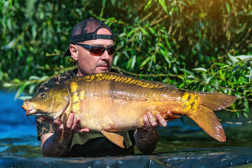 Carpfishing session at the Lake.lucky fisherman holding a giant common carp.Angler with a big carp...