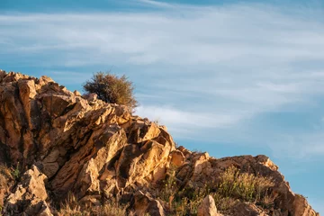 Fotobehang Rugged rocky landscape with bright blue sky and bush © Kepler