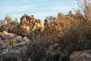 Golden light on rugged desert landscape with rocky outcrop and dry vegetation