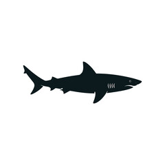 shark vector illustration