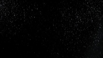 Freeze Motion of Rain - Falling Water Drops Isolated on Black Background