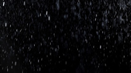 Freeze Motion of Rain - Falling Water Drops Isolated on Black Background