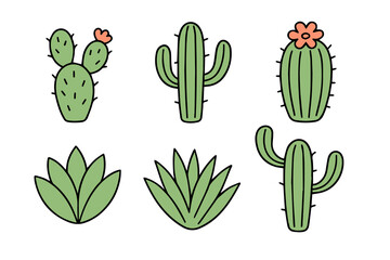 Set of cute cactus and succulents, vector illustration in flat style