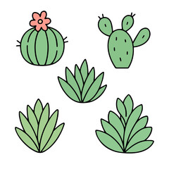 Set of cute cactus and succulents, vector illustration in flat style