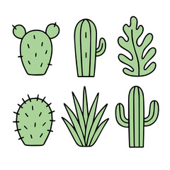 Set of cute cactus and succulents, vector illustration in flat style