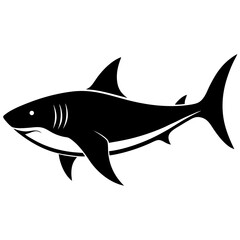 Fototapeta premium Shark white background