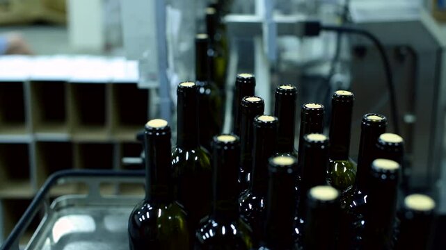 Workers manage wine bottle conveyor in busy factory environment during production of red and white wine