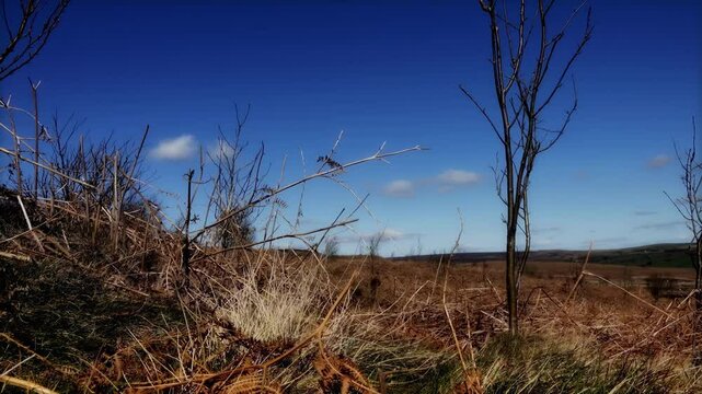Moorland scenic landscape scenery stock footage