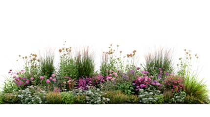 Serene Flowerbed with Ornamental Grass: Isolated on White Background for Design Inspiration