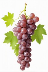 Fototapeta premium red grapes with leaves on white background