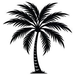 Palm Tree Silhouette Vector - High-Quality Isolated Design
