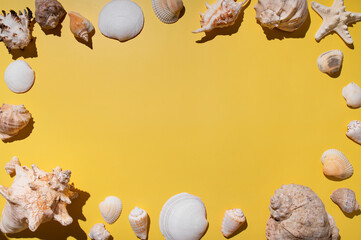 Collection of different seashells, starfish, coral on yellow background top view. Beautiful shells,...