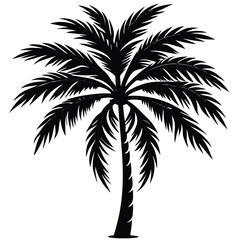 Palm Tree Silhouette Vector - High-Quality Isolated Design