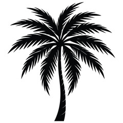 Palm Tree Silhouette Vector - High-Quality Isolated Design