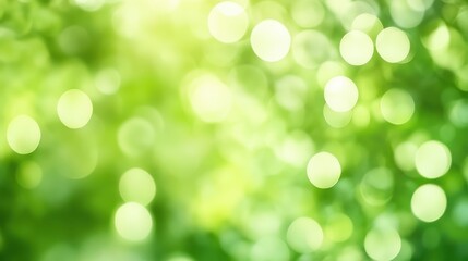Obraz premium Soft green bokeh lights fill the background, creating a peaceful ambiance. The light filters through leaves, showcasing nature's beauty during a sunny day