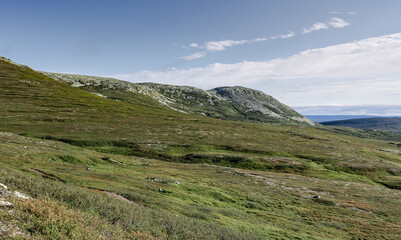 Vibrant green tundra landscape at Molnet Nipfjället Mountain in Idre Dalarna, Sweden, enjoying the serene summer beauty of the Nordic wilderness with many hiking trails