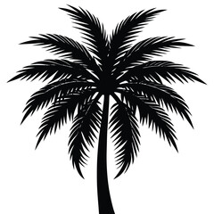 Palm Tree Silhouette Vector - High-Quality Isolated Design