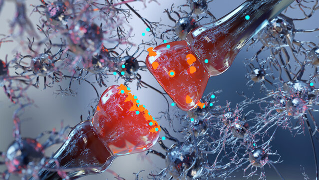 neurotransmitter release mechanisms. Neurotransmitters are packaged into synaptic vesicles transmit signals from a neuron to a target cell across a synapse. opioids, Acetylcholine release, 3d render