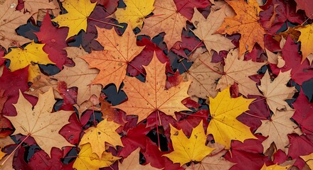 Autumn's Embrace AI Generated