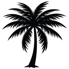 Palm Tree Silhouette Vector - High-Quality Isolated Design
