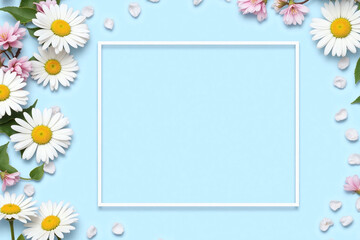 spring flowers and petals on a blue background with a white frame