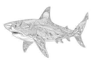 Obraz premium Illustration black and white of shark. Line drawing