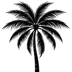 Obraz premium Palm Tree Silhouette Vector - High-Quality Isolated Design