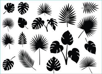 Tropical Foliage Silhouettes: A collection of various tropical foliage silhouettes, perfect for adding a touch of nature and exotic flair to any project or design.