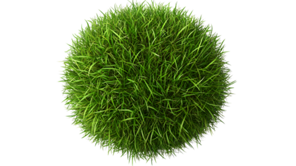 Isolated Patch of Grass on Transparent Background - Lush Greenery Design Element