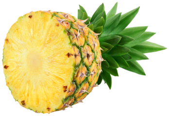 Pineapple isolated png. Pineapple half with leaves on transparent background. Cut pineapple no background. Sliced pineapple transparent png. Full depth of field.