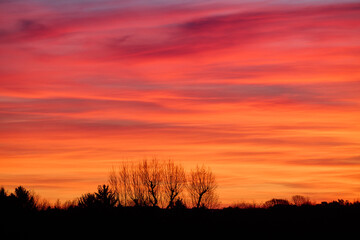 Obraz premium Vibrant sunset over silhouetted trees
