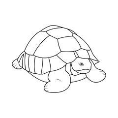 Tortoise outline vector illustration art book design black and white