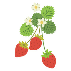 いちご3個と葉と花