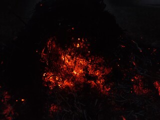 Glowing embers and burning dry leaves. Close-up of smoldering fire with red-hot coals and ashes....