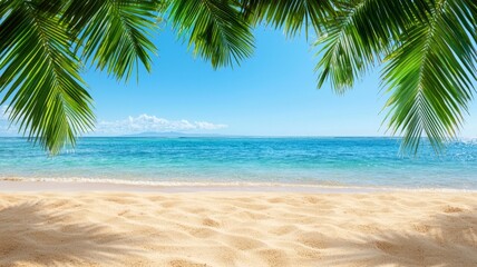 Tropical Beach Paradise  Sand  Ocean  Palm Leaves