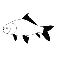  katla fish, vector, silhouette, catla fish natural water asin carf.eps, katla fish, vector, silhouette, catla fish natural water asin carf 