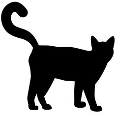 black cat vector illustration