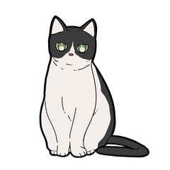 おすわりしてるハチワレ猫