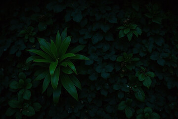 green wall with lots of plants on it