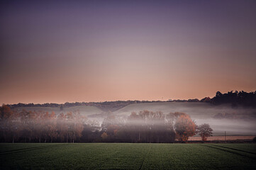 Foggy Autumn Morning Over Rolling Hills and Trees