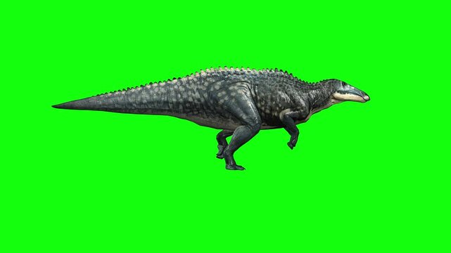 Shantungosaurus Dinosaur Run Green Screen