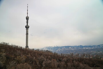 Fototapeta premium Kok Tobe TV tower on a hill with different vegetation. Early spring.